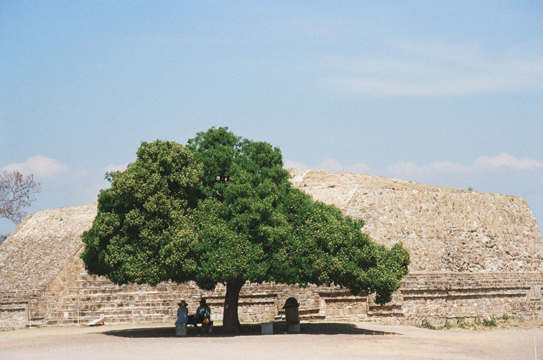 monte alban, oaxaca, mx<br />2024