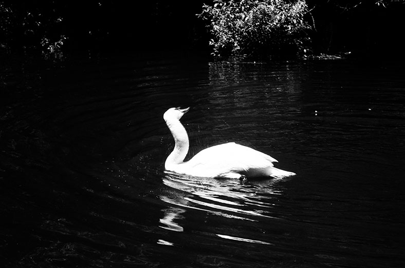 prospect park, brooklyn, ny<br />2024